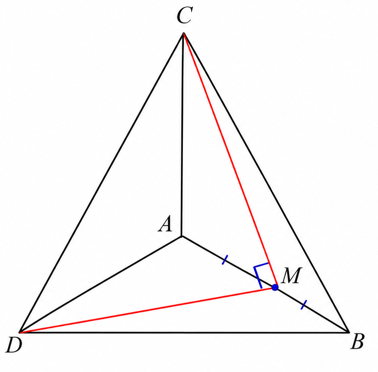 Regular tetrahedron ABCD with M the midpoint of AB and segments CM and DM drawn