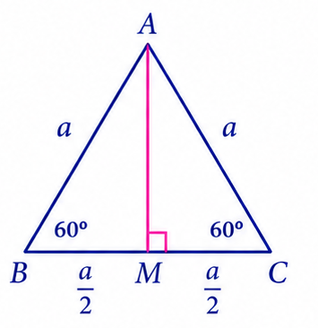 Equilateral triangle with altitude AM